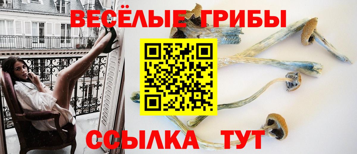 Псилоцибиновые грибы GOLDEN TEACHER Донецк