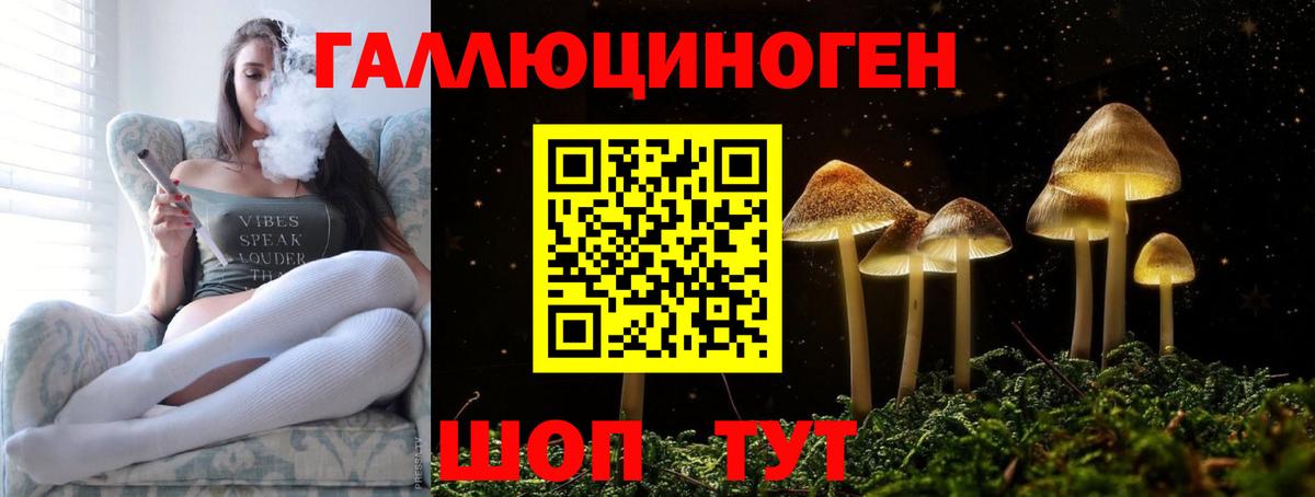 Псилоцибиновые грибы GOLDEN TEACHER  Псилоцибиновые грибы мицелий  Вход с VPN  Донецк 